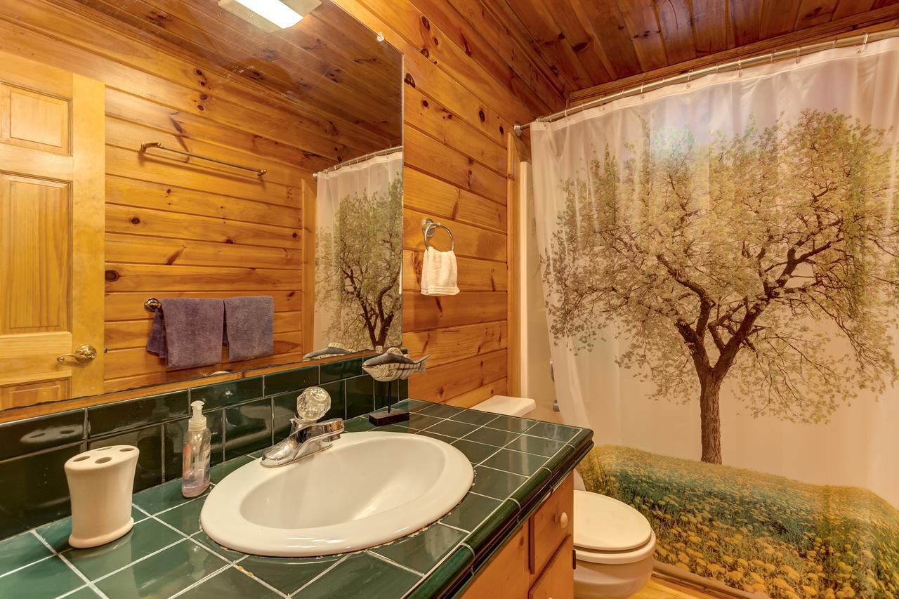 River Ranch Ellijay Dış mekan fotoğraf
